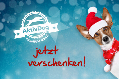 AktivDog verschenken zu Weihnachten