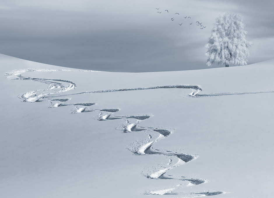 Winterferien bei AktivDog Hundefutter