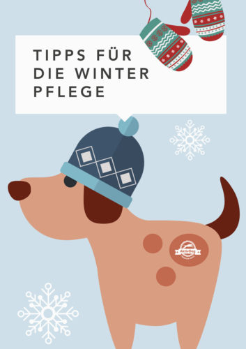 Winterpflege Tipps für den Hund von AktivDog Hundefutter