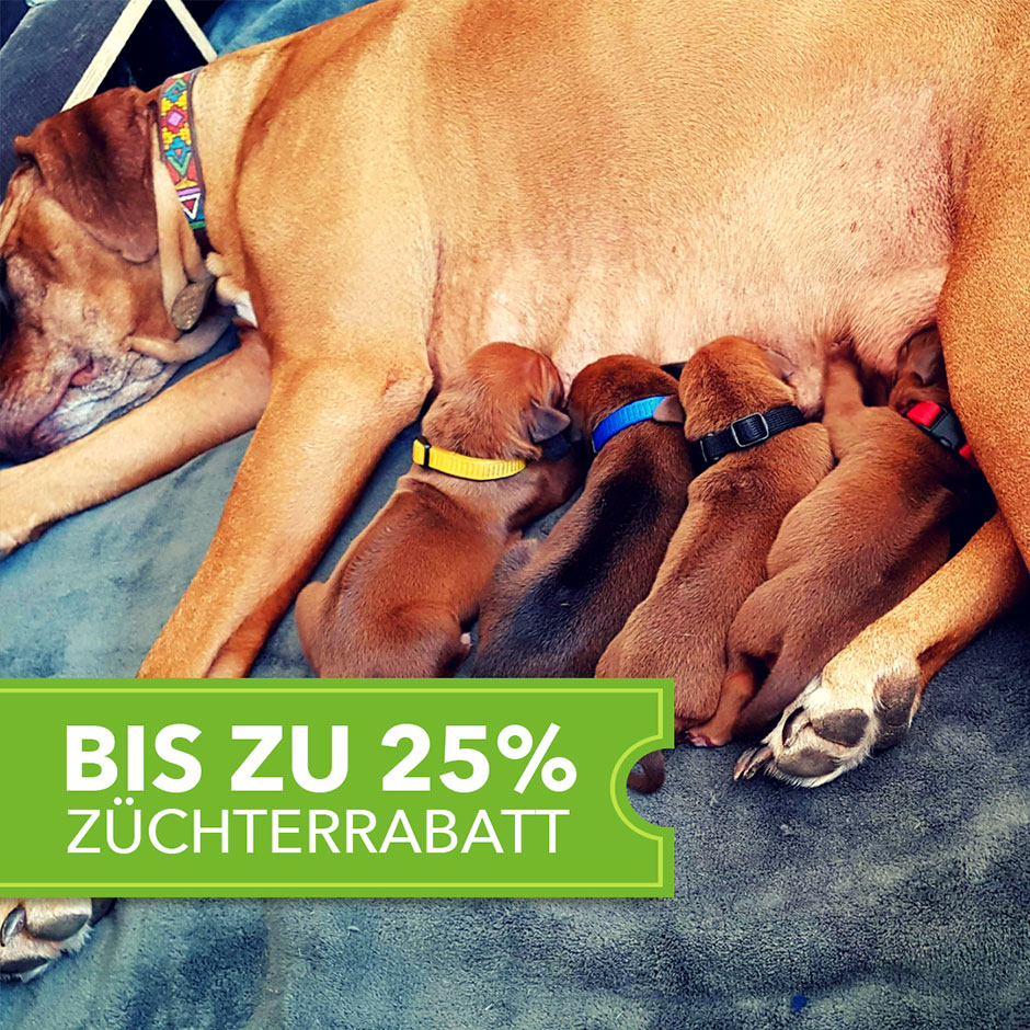 Bis zu 25 % Züchterrabatt auf www.aktivdog.ch