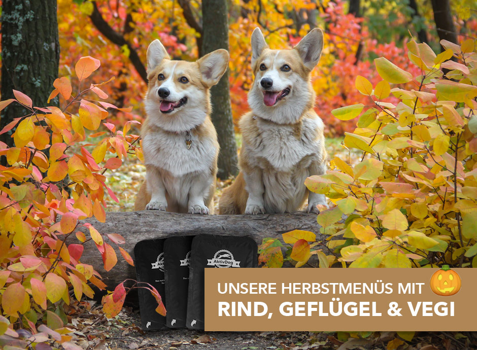 31_herbstmenues