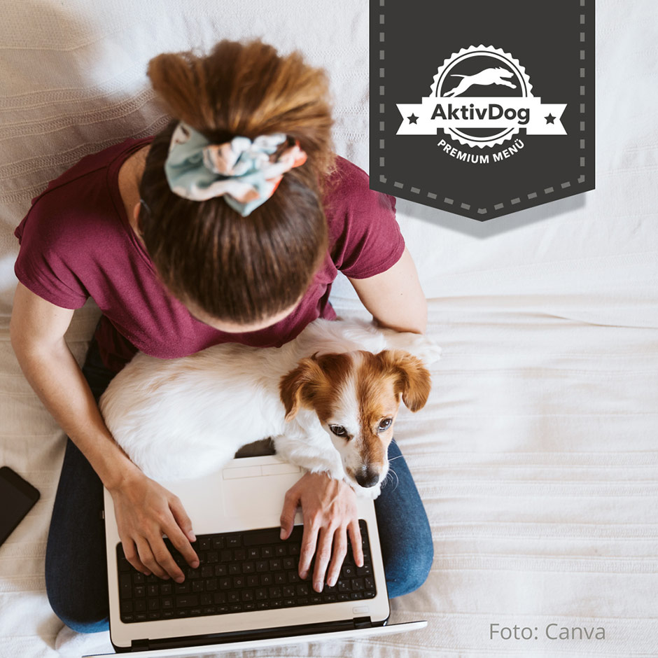 Home Office mit Hund? Das geht ... mit AktivDog Hundefutter