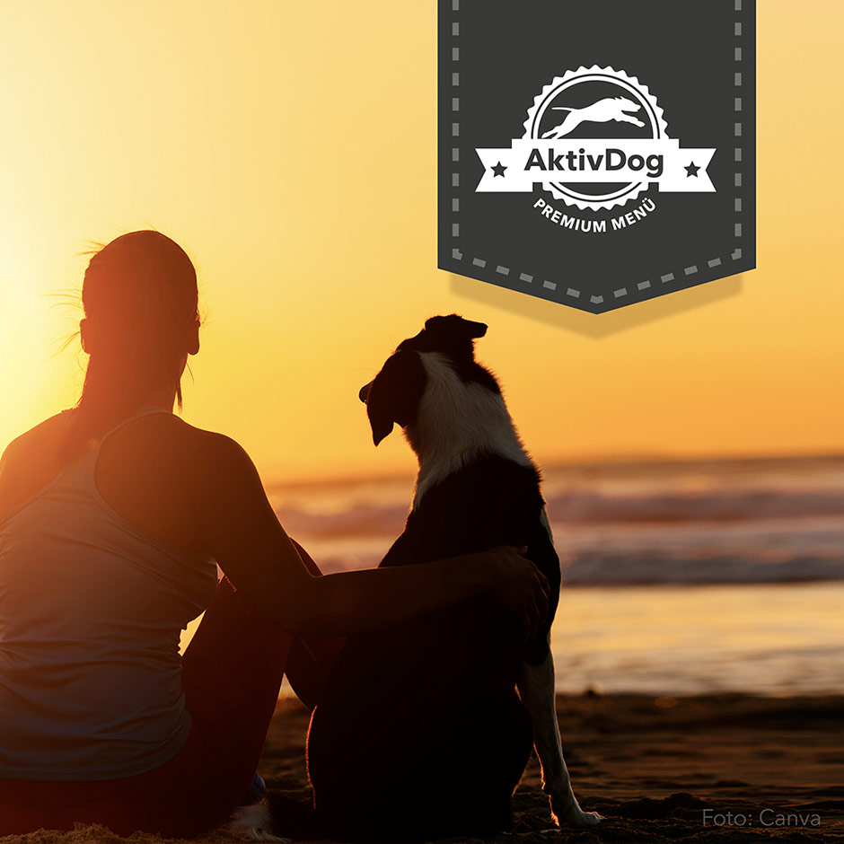 Teilen Sie mit AktivDog Hundefutter Ihre schönsten Sommermomente mit Fellpfote auf facerbook