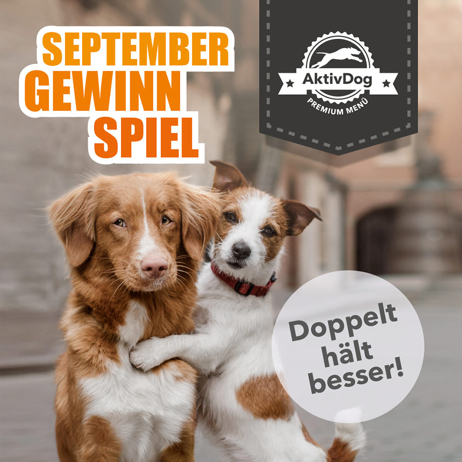 September-Gewinnspiel auf www.aktivdog.ch. Gewinnen Sie doppelt Hundefutter