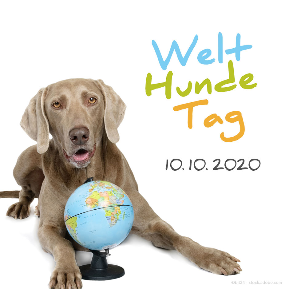 AktivDog Hundefutter feiert den Welthundetag am 10.10.2020