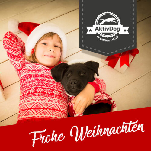 Frohe Weihnachten wünscht das Team von AktivDog – Schweizer High Quality Hundefutter