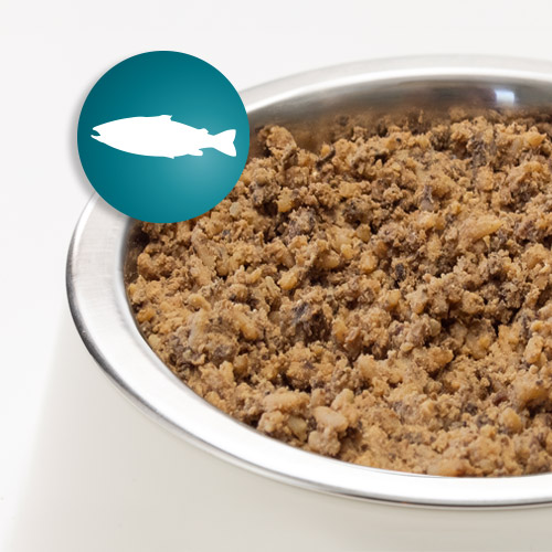 AktivDog – Das natürliche Schweizer Hundefutter in der Sorte "Lachs mit Pastinaken"