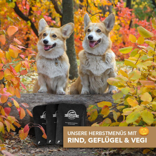 Unsere Herbstmenüs mit Kürbis – AktivDog Rind, Geflügel und Vegi