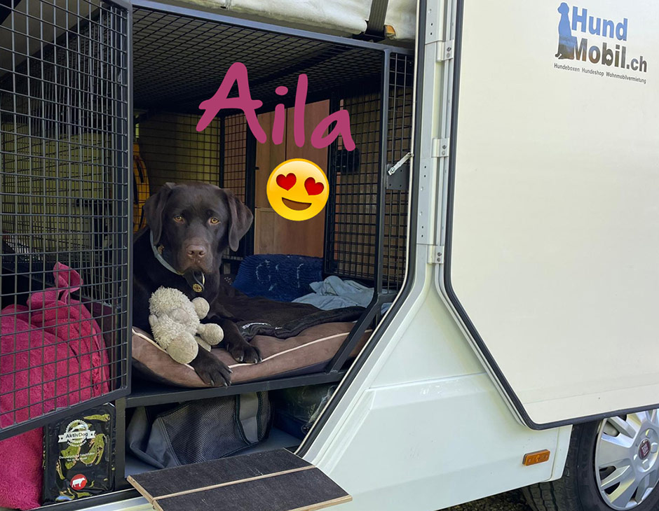 Wir haben wieder Fanpost bekommen. Dieses Mal von Aila, Labrador Receiver. Danke dafür. Das AktivDog-Team