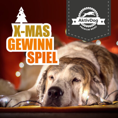 Das Weihnachts Gewinnspiel 2021 von AktivDog Premium Hundefutter