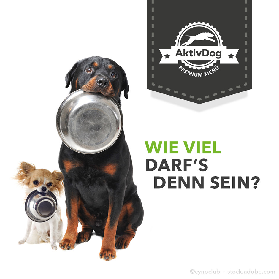 Der AktivDog Futtermengen Rechner mit Rabattfunktion