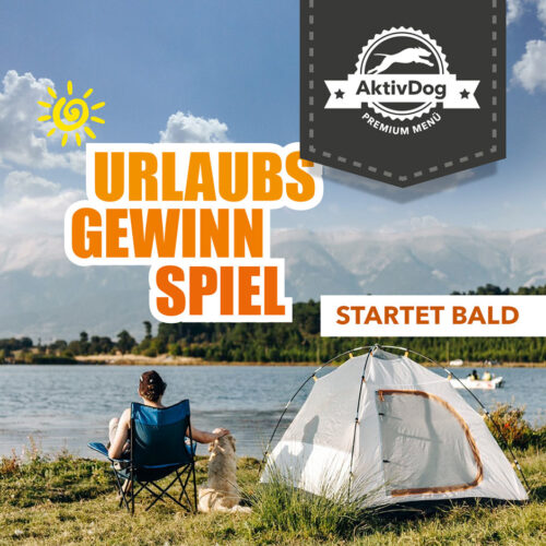 Bald startet das AktivDog Urlaubsbilder Hundefutter GEwinnspiel