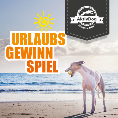 das AktivDog Urlaubsbilder Hundefutter Gewinnspiel. Jetzt auf der AktivDog Facebook Fanpage