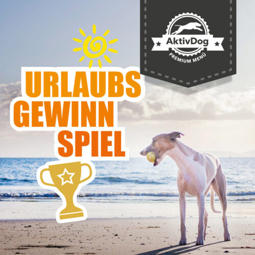 Die Gewinner des AktivDog Urlaubsgewinnspiels lauten ...