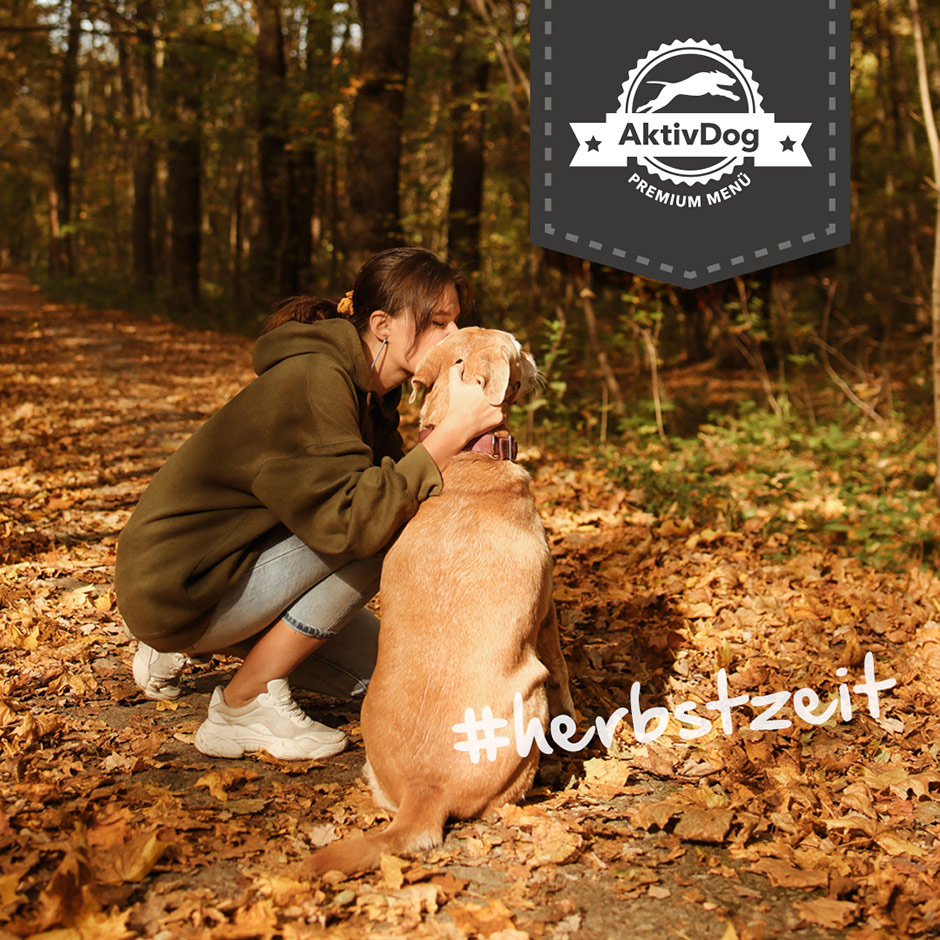 Herbstzeit ist Spielzeit! Zusammen mit AktivDog Hundefutter für einen schönen Herbst