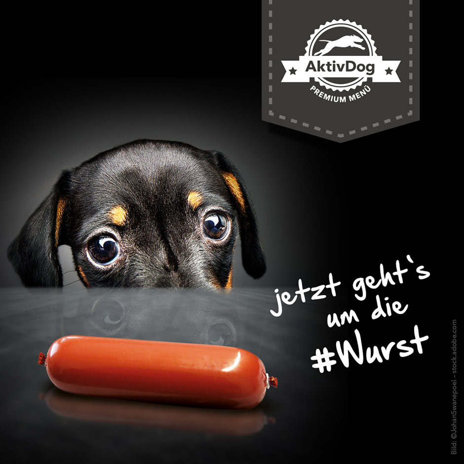 Jetzt geht's um die Wurst – Trainingswürste jetzt neu bei AktivDog bestes Hundefutter