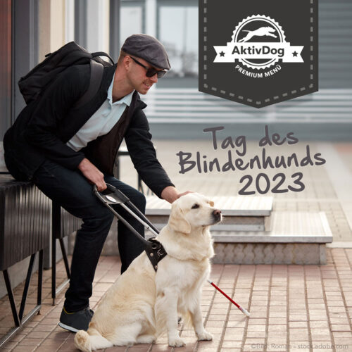 Am 29. Januar ist der "Tag des Blindenhundes" und wir von AktivDog Schweizer Hundefutter sind dabei.