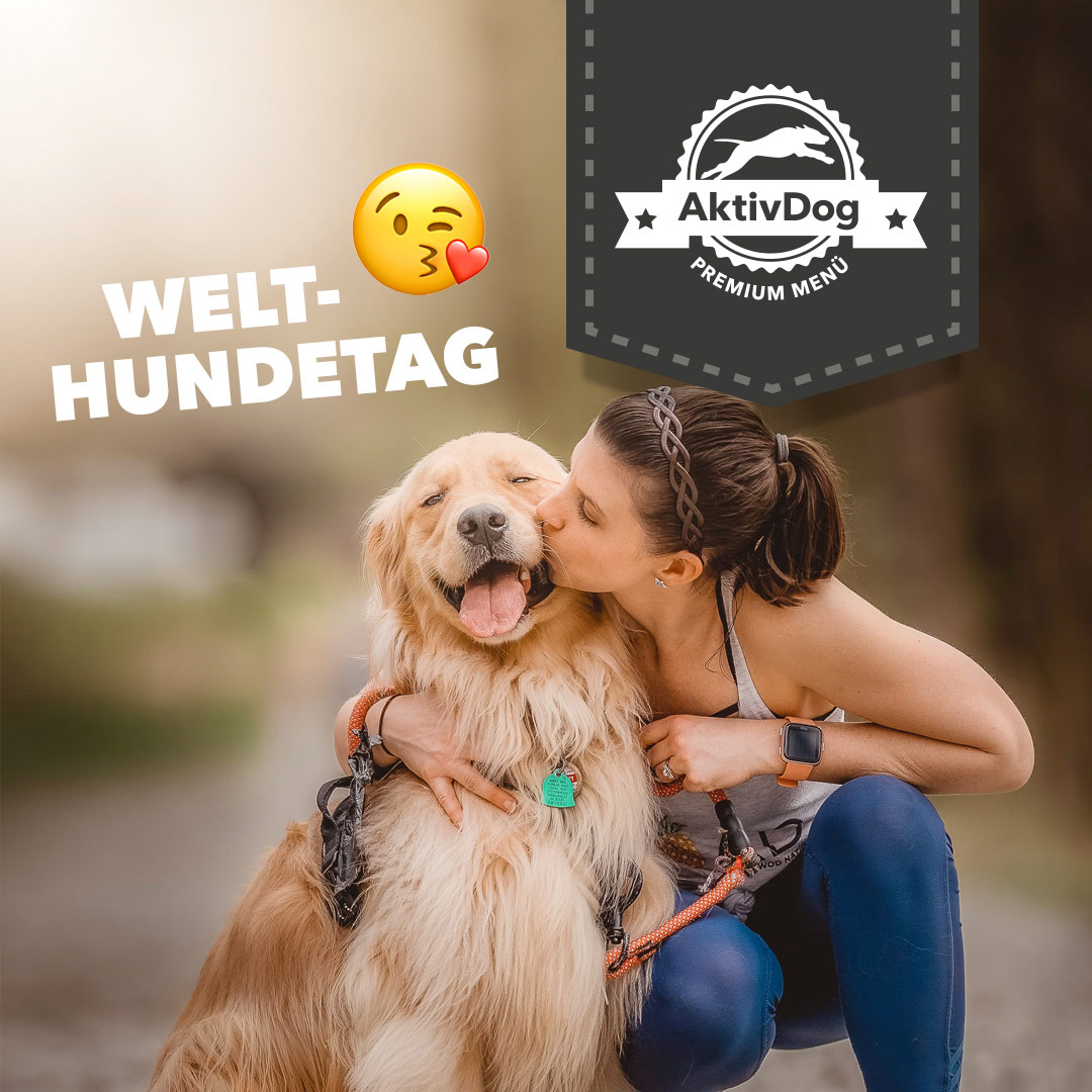 2023_34_welthundetag