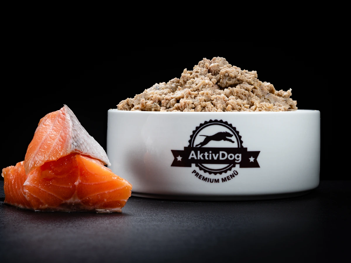 Großaufnahme von AktivDog Hundefutter 100% Lachs mit links daneben liegendem rohen Schweizer Lachs aus nachhaltiger Produktion