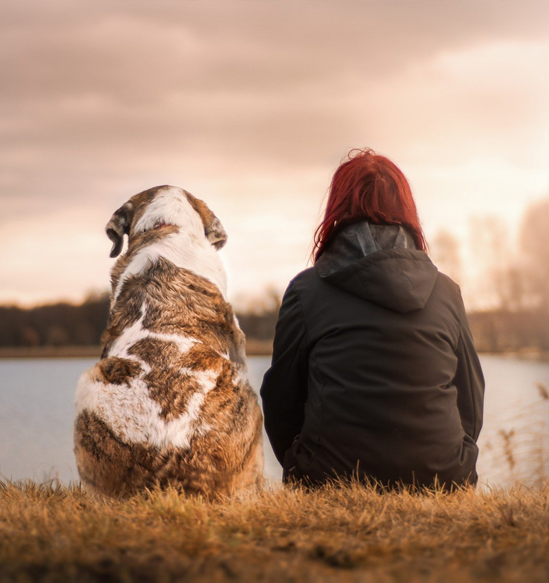 Eine Frau sitzt am See und links von ihr sitzt ihr Hund. Sie schauen, während die Sonne untergeht, Verträumt auf den See und denken über die Vorteile von AktivDog Hundefutter nach.