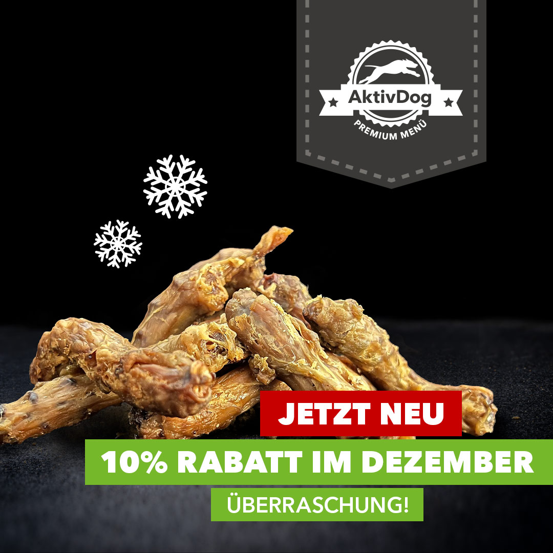 2024_38_einfuehrung-huehnerhaelse