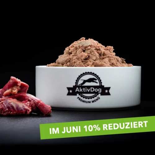 20-AktivDog-100ProPferd-10Einfuehrung