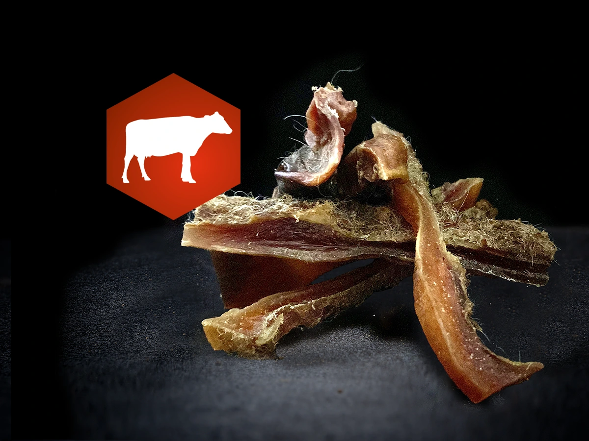 Großaufnahme von AktivDog Rinderkopfhaut auf dunklem Hintergrund