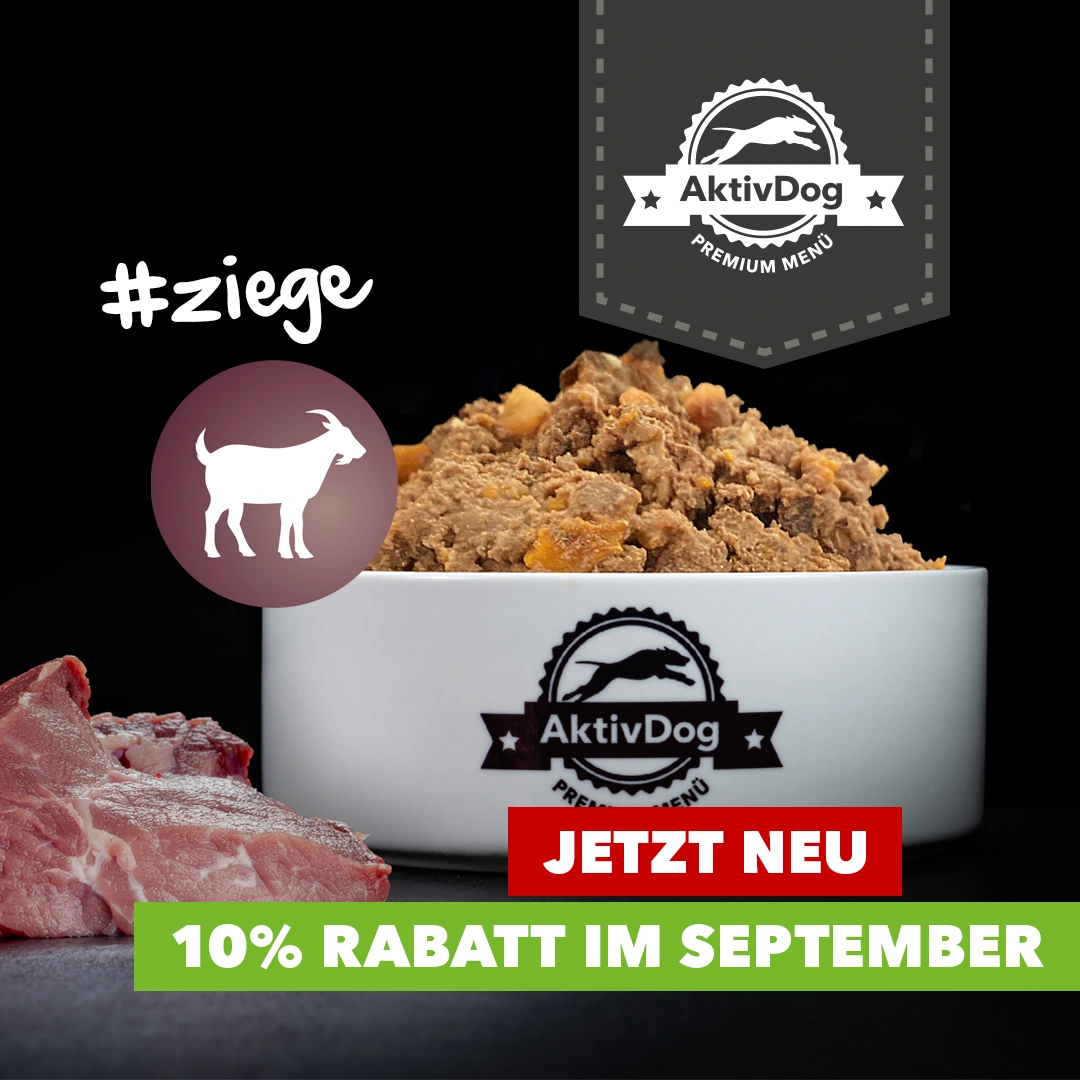 2025_40_einfuehrung-ziege