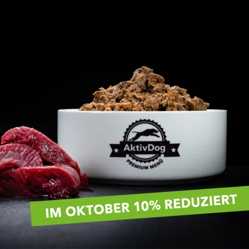 24-AktivDog-wild-oktober-10pro