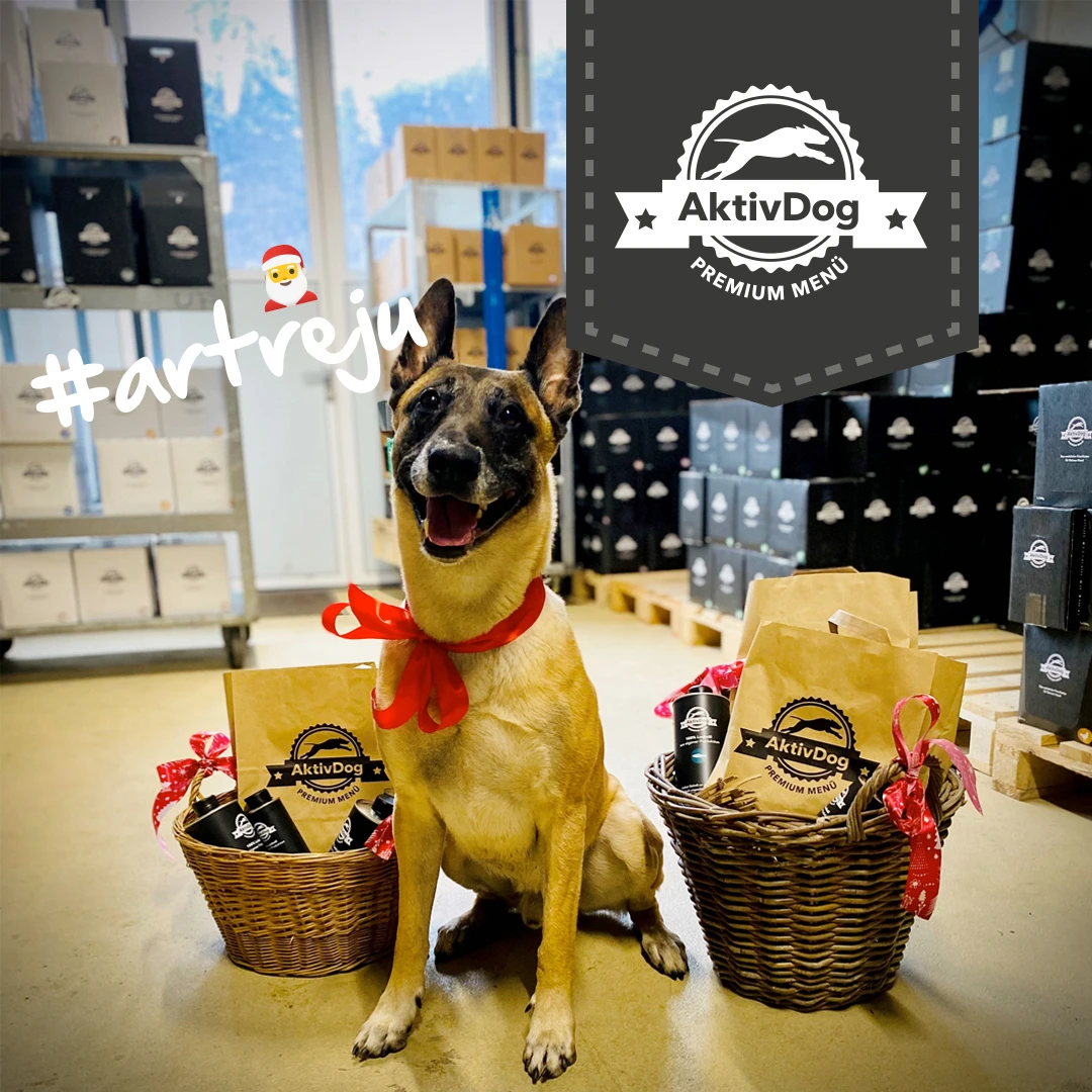 2025_56_Geschenke-Atreju