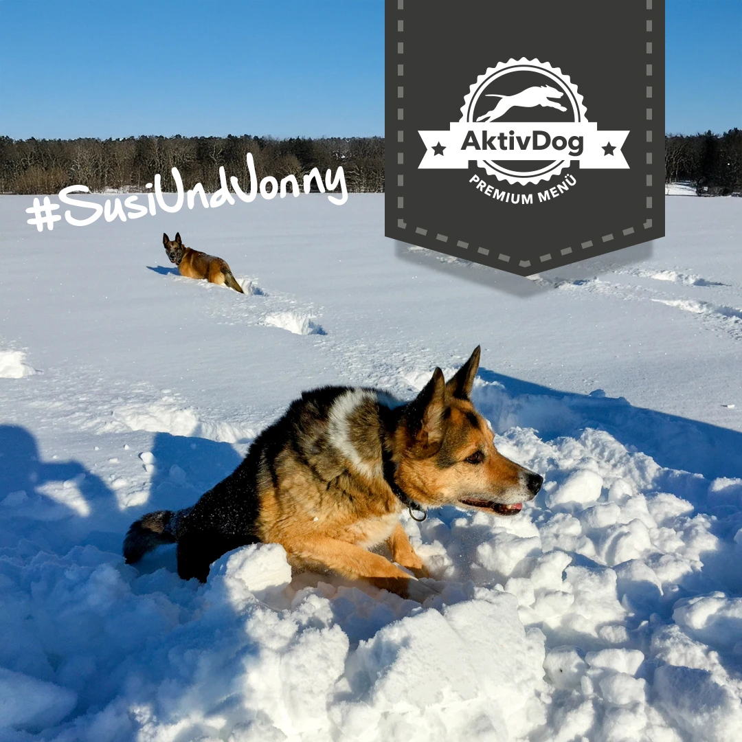 2025_57_Winter-Susi und Jonny