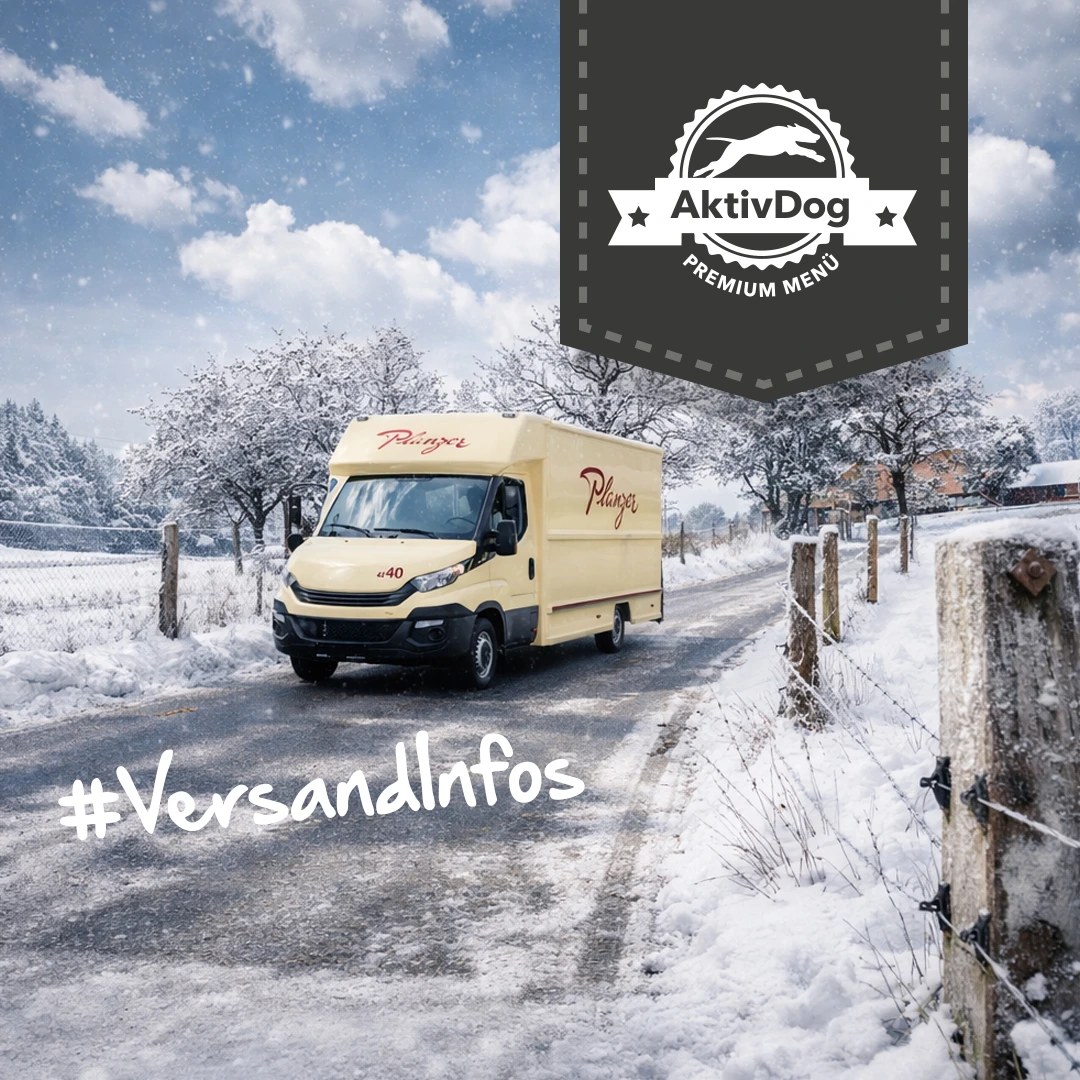 2025_58_Versandinfos-Planzer