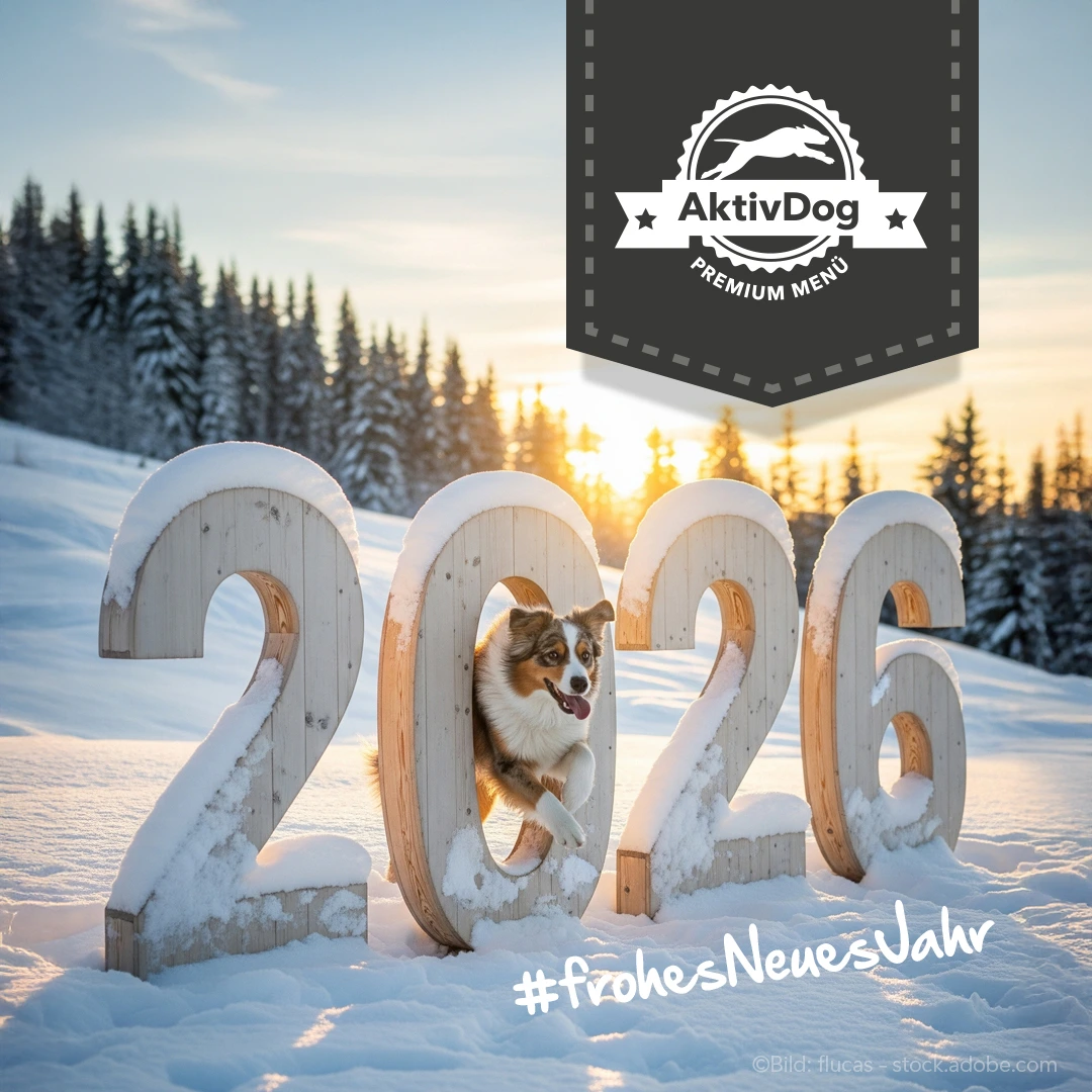 2026_01_frohes-neues-Jahr