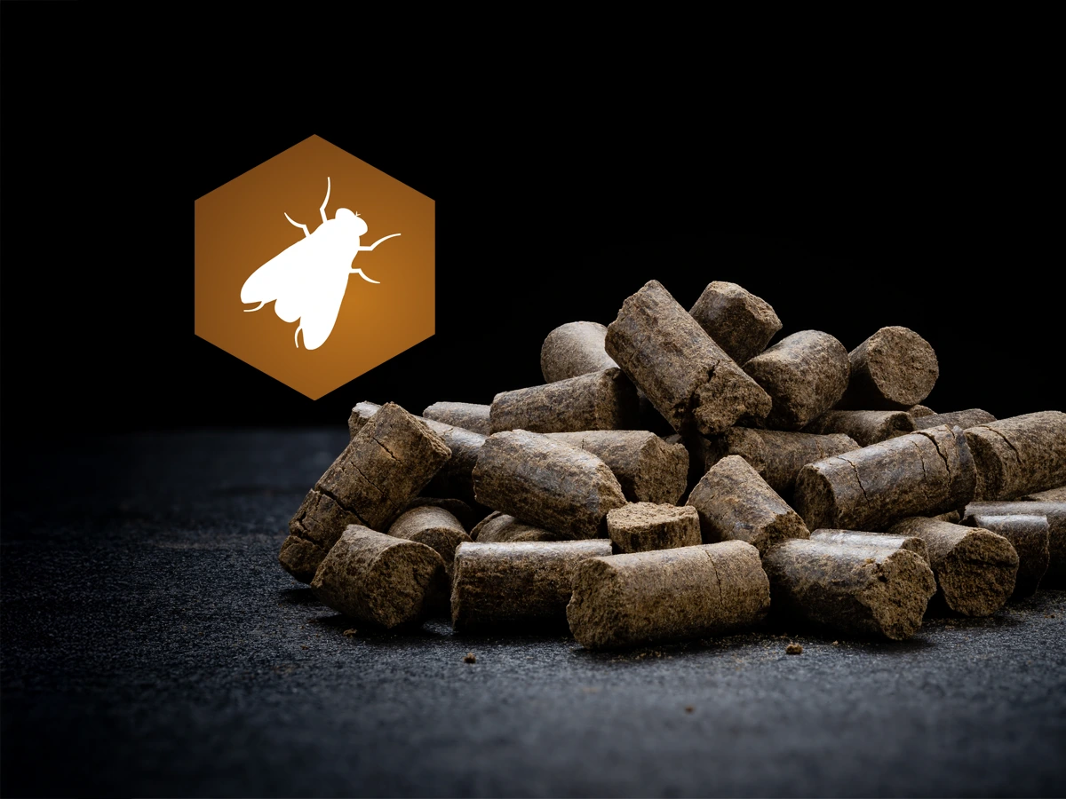 AktivDog Belohnungsleckerli Hermetia aus aus innovativem Insektenprotein liegen pur auf einem dunklen Untergrund