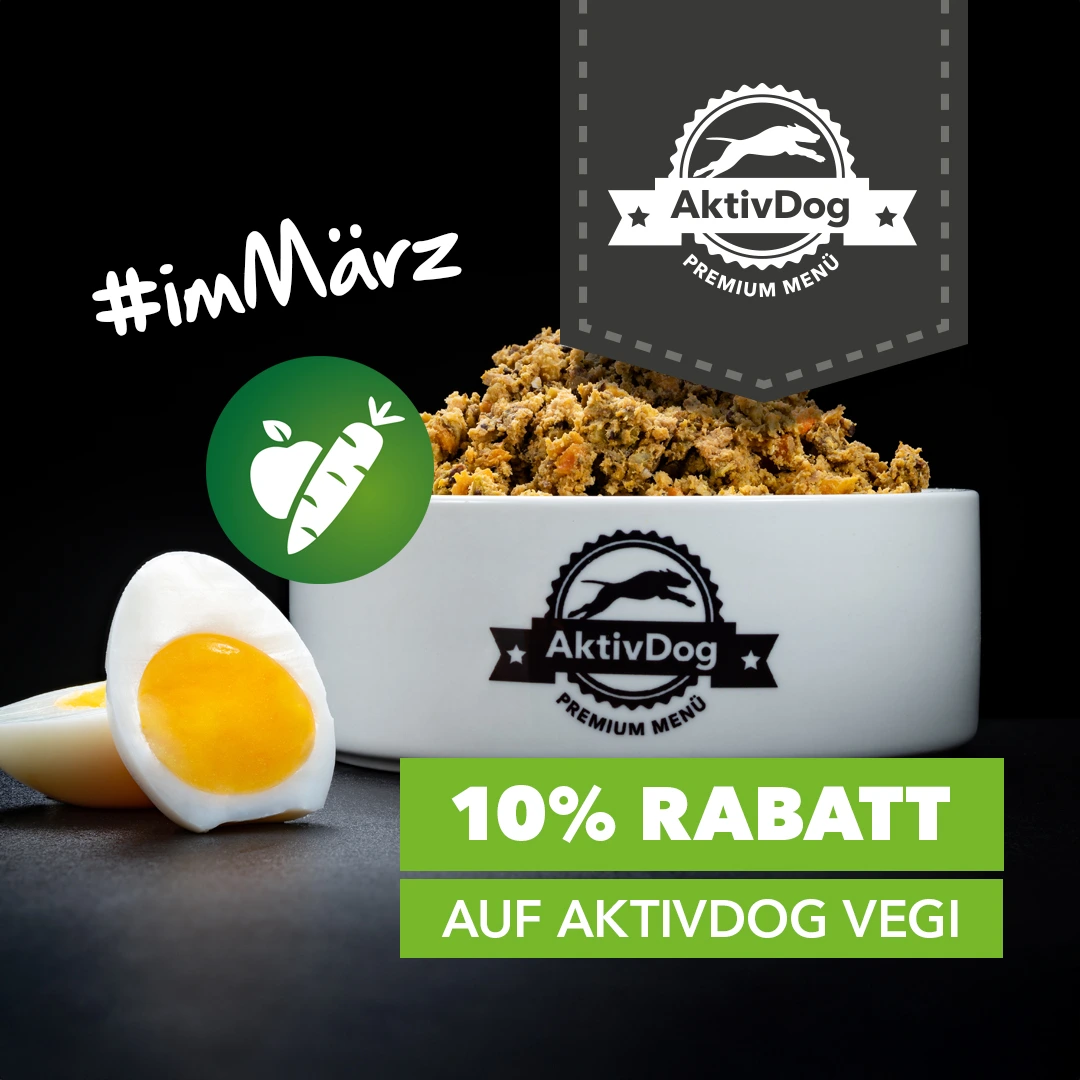 2026_10_quartalsaktion-vegi