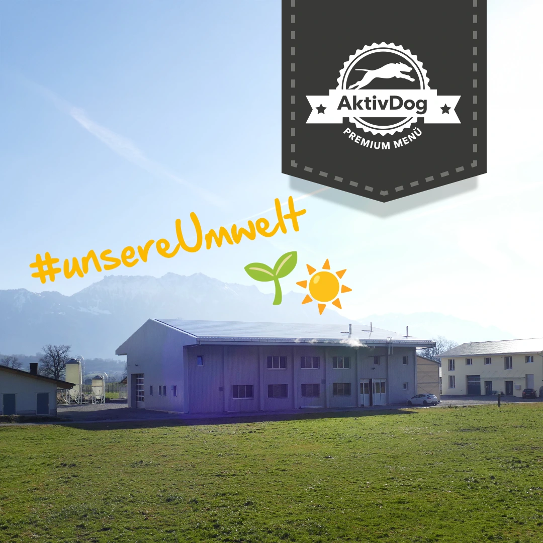 2026_11_Umwelt_nachhaltigkeit