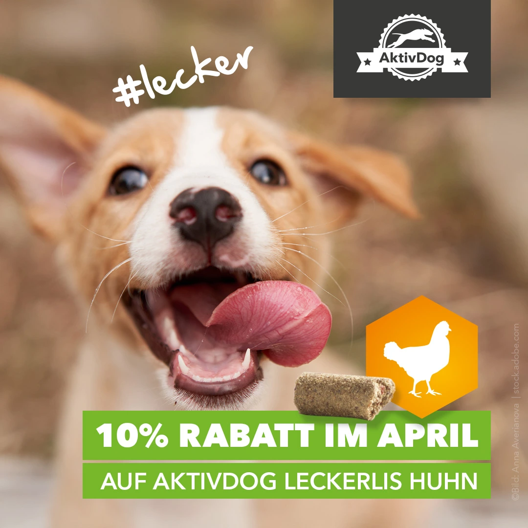 2026_14_quartalsaktion-leckerli-huhn