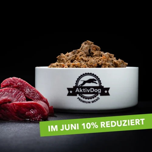 22-AktivDog-rotwild-10pro