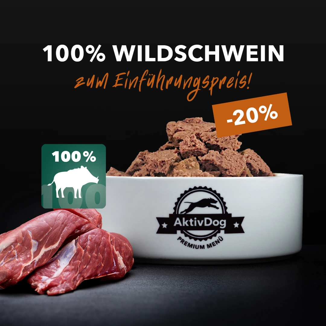 2026_03_quartalsaktion-100proWildschwein